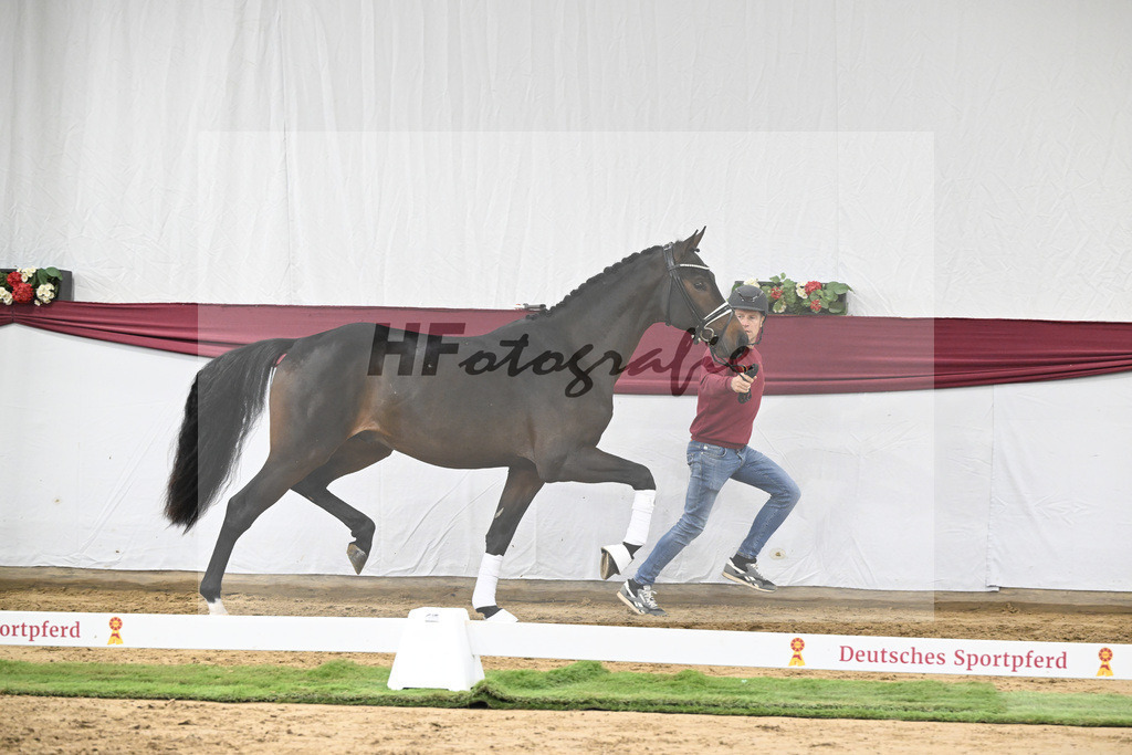 Kat-Nr. 21 St. Emilion x Quantensprung_Marianne Jerich_47250657 | hf-fotografie - Realisiert mit Pictrs.com