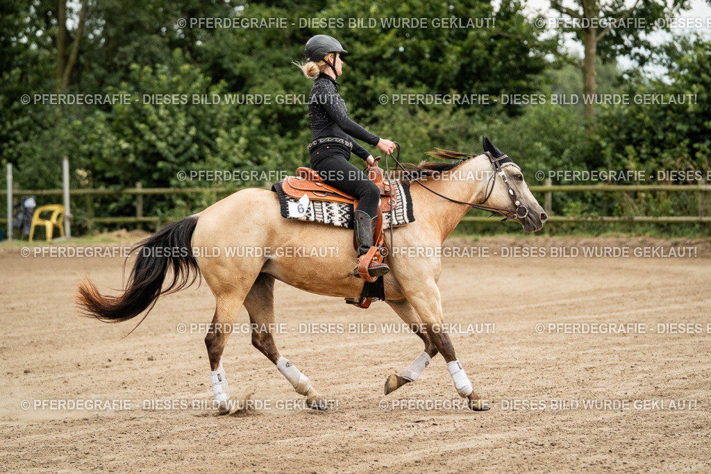 DSC04759 | Pferdegrafie