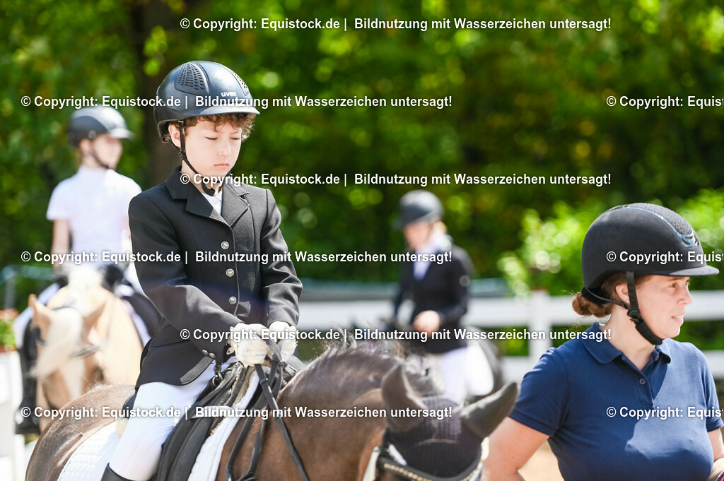 20230716_11_Führzügel-WB_0046 | equistock