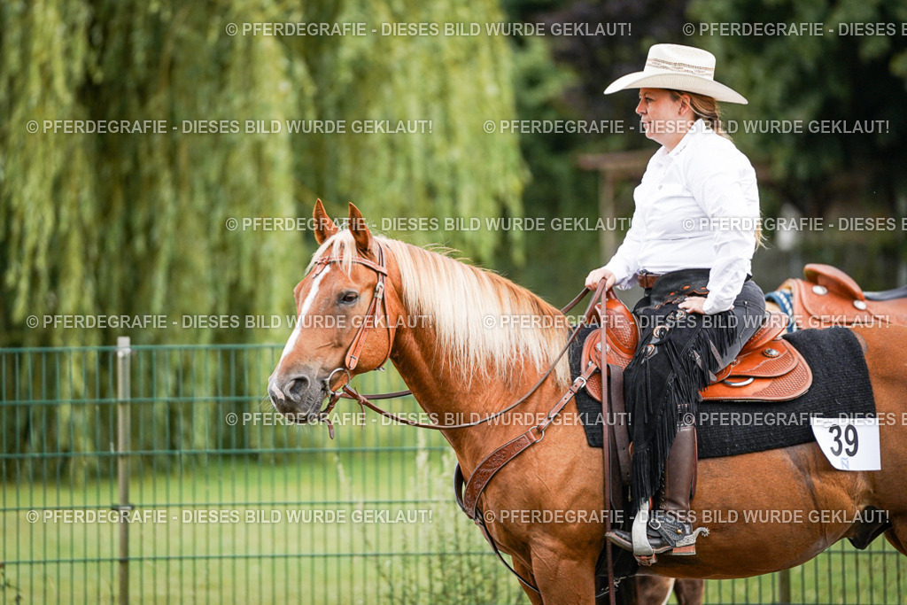 DSC08974 | Pferdegrafie