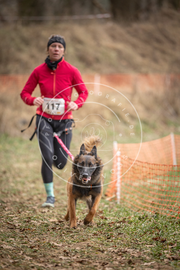Pfotenfotografie_DV3A7632 | Hundefotografie, Tierfotograf, Pfotenfotografie, Fotoshooting Hund, Hunde Portrait, Hundesport, Hundeportraits, Heideshooting, Hunde, Sportfotograf, Hundefotograf, Turnierhundsport, THS,  - Realisiert mit Pictrs.com