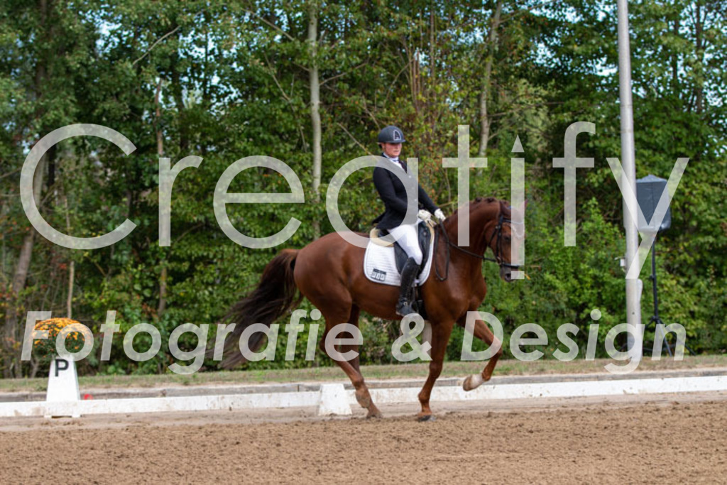 IMG_3780 | Creatify Fotografie