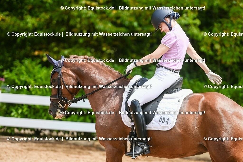 20230716_03_Dressurprfg. Kl.L - Tr._0243 | equistock