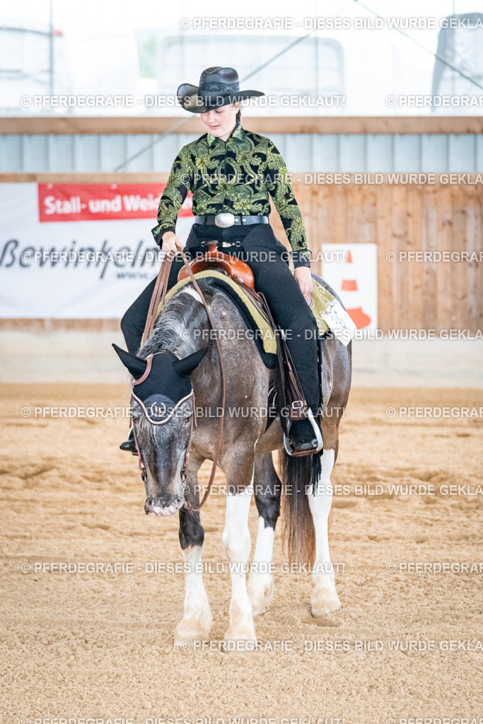 DSC01561 | Pferdegrafie