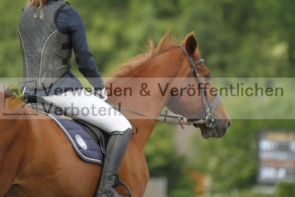 _MG_4324 | equestrian-live-com