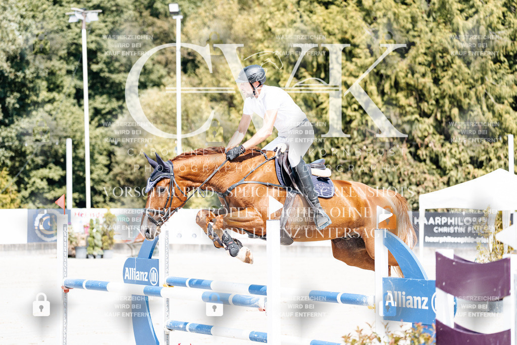 CK901285 | Turnierfotografie Pferdefotografie Trier Rheinland-Pfalz Pferdesport Reitsport Tierfotografie Sportfotografie Pferdevideo Pferdevideografie Equestrianvideography equestrianphotography  - Realisiert mit Pictrs.com