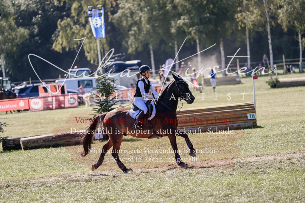 DSC_2779 | Pferde- und Turnierfotografie in Westsachsen. Pferdeportraits, Auftragszeichnungen und intuitive Kunst.