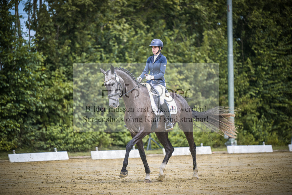 DOS_2009 | Entdecke hochwertige Reitturnierfotos von Foto Oger. Professionell, emotional und authentisch – jetzt Lieblingsmomente im Shop bestellen.Deutschlandweite Turnierfotografie. - Realisiert mit Pictrs.com