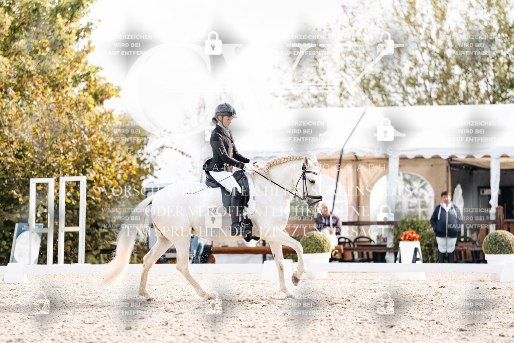 CK901225 | Turnierfotografie Pferdefotografie Trier Rheinland-Pfalz Pferdesport Reitsport Tierfotografie Sportfotografie Pferdevideo Pferdevideografie Equestrianvideography equestrianphotography  - Realisiert mit Pictrs.com