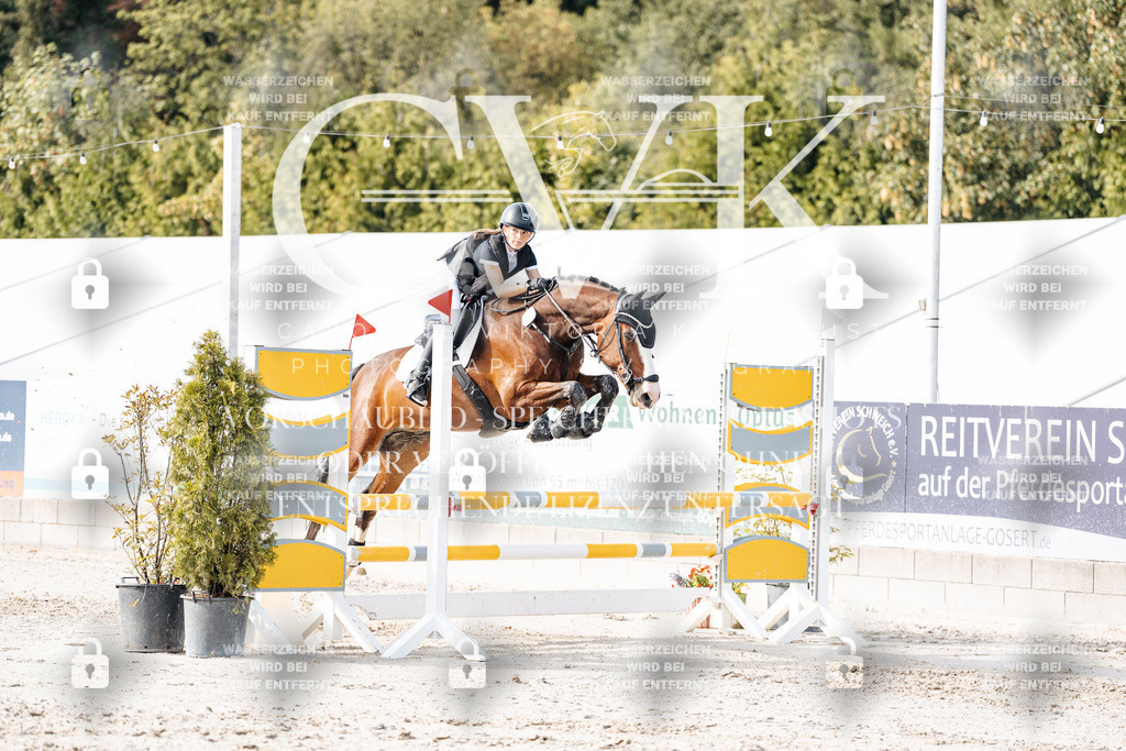 CK905771 | Turnierfotografie Pferdefotografie Trier Rheinland-Pfalz Pferdesport Reitsport Tierfotografie Sportfotografie Pferdevideo Pferdevideografie Equestrianvideography equestrianphotography  - Realisiert mit Pictrs.com