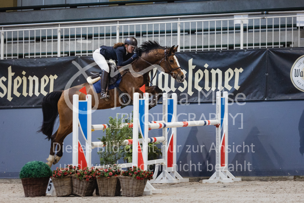 221217_Warstein_Stil-M-243 | Deine schönsten Turniermomente als professionelle Fotos! Entdecke hochwertige Pferdesport-Fotografie im Online-Shop. Jetzt Fotos finden & bestellen!