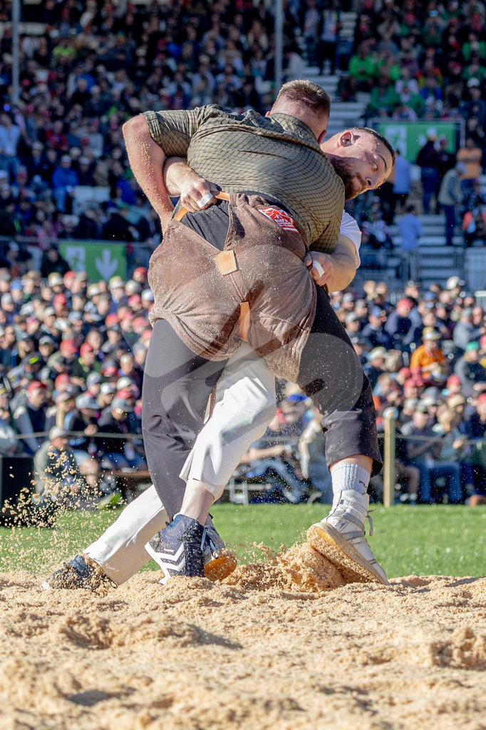 ESAF2025_05Gang_6178 | Die Schwinger des Schwyzer Kantonalen Schwingerverbandes: Fotos, die Dynamik und Leidenschaft festhalten, sowie emotionale Momente aus dem traditionellen Schwingsport zeigen. - Realisiert mit Pictrs.com