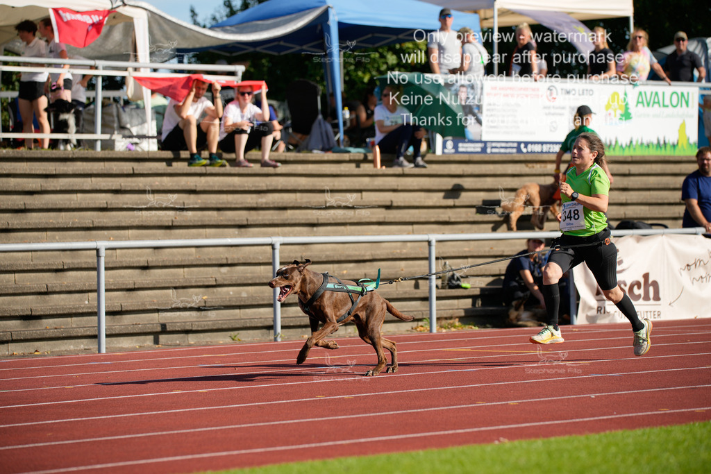 Sonntag_Staffel (78 von 336) | stephaniefillaphotographie - Realisiert mit Pictrs.com