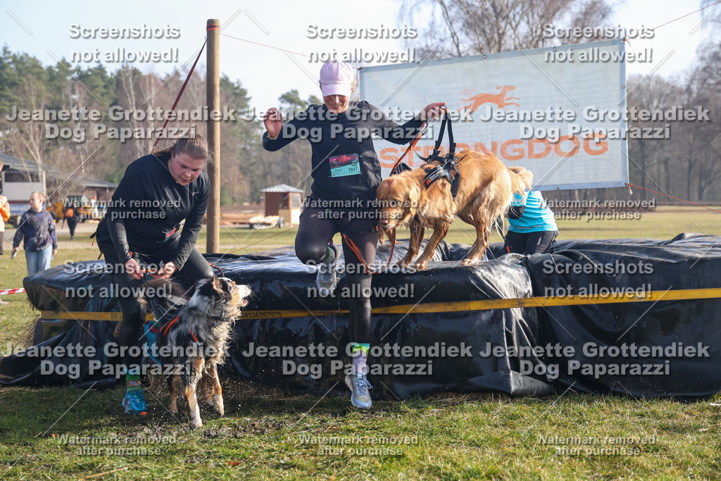 Dog Paparazzi - Strongdog North Mrz26-651 | Dog Paparazzi Jeanette Grottendiek Fotografie & Videografie - Realisiert mit Pictrs.com