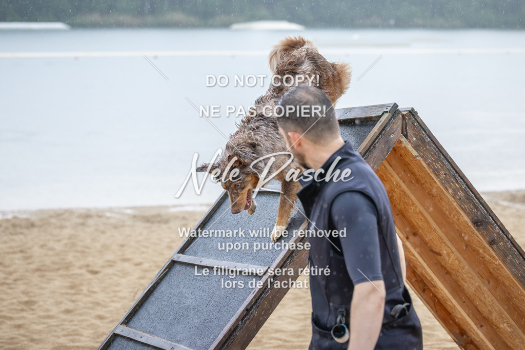 nelerasche_BuHu2026_So1430-1530_72 | nelerasche