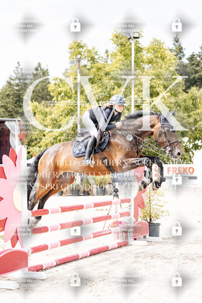 CK901926 | Turnierfotografie Pferdefotografie Trier Rheinland-Pfalz Pferdesport Reitsport Tierfotografie Sportfotografie Pferdevideo Pferdevideografie Equestrianvideography equestrianphotography  - Realisiert mit Pictrs.com
