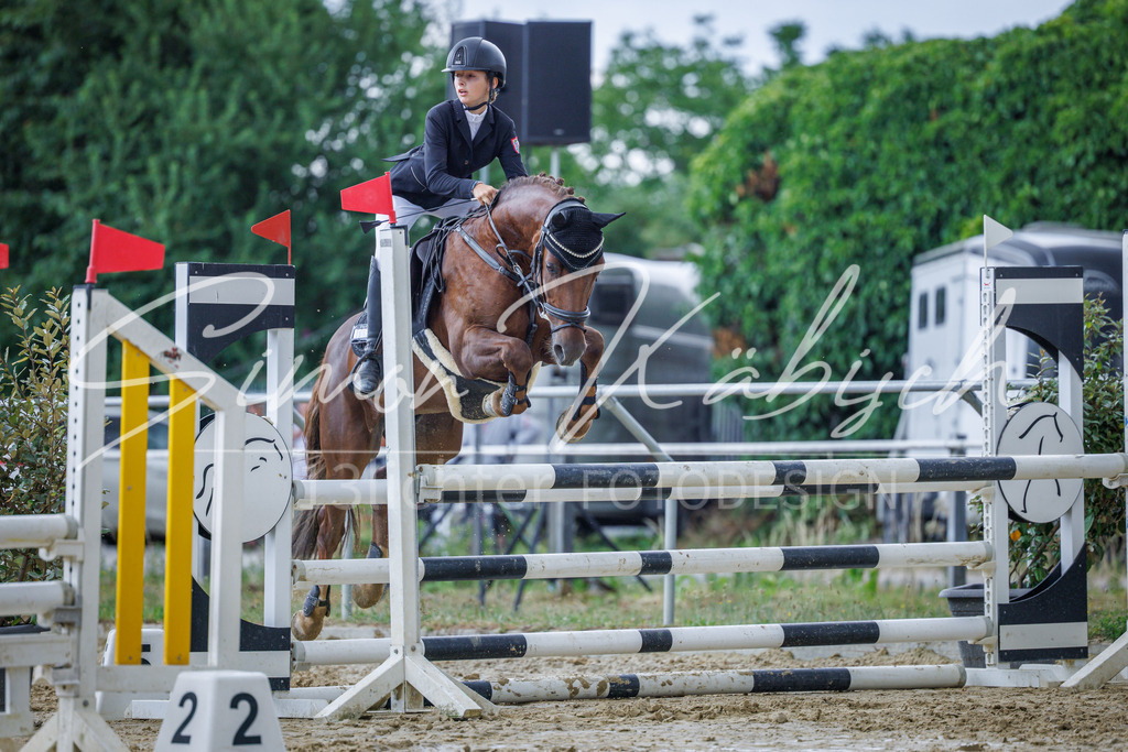 20260705-_3LI4665 | Tierfotografie Pferde, Hunde, Katzen, Haustiere.
Turnierfotografie Reitturniere, Reiten, Springreiten, Dressur in Hanau, dem Main-Kinzig-Kreis und dem Rhein-Main- Gebiet um Frankfurt