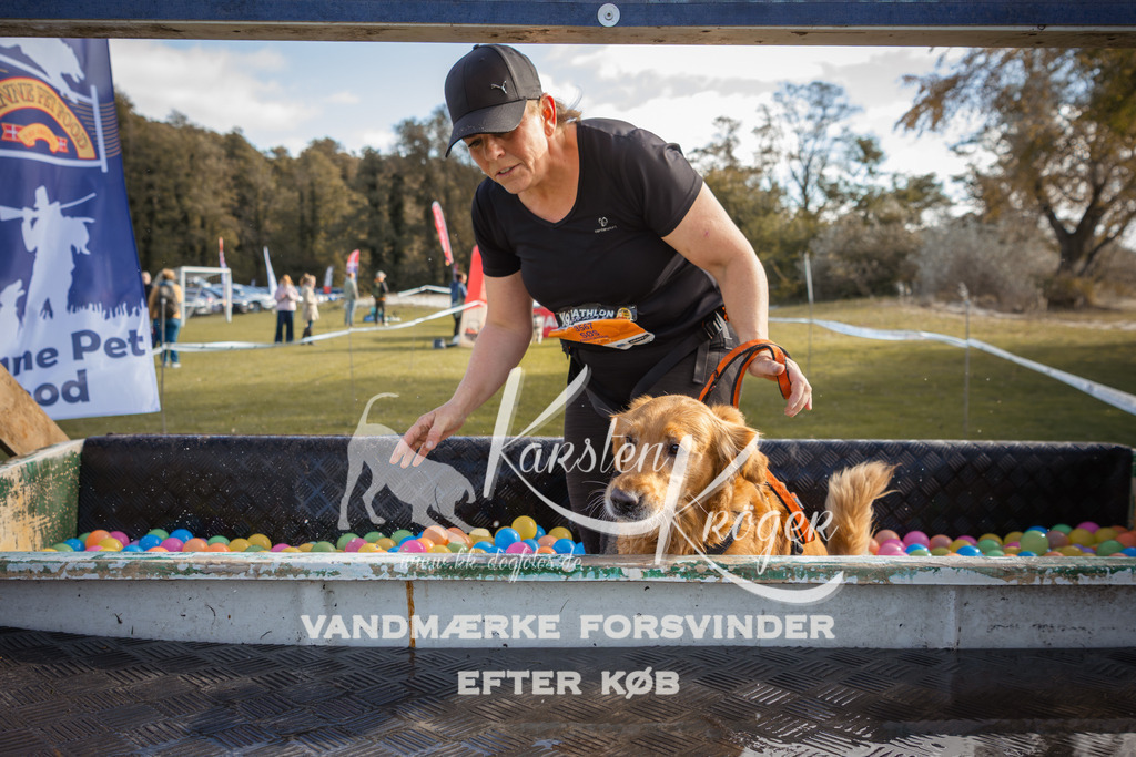1311_ZZ99523-2 | kk-dogfotos