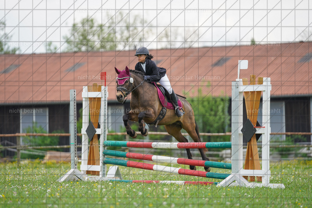 20240509-FAH02555 | Turnierbilder der Turnierfotografen Bayern, Pferdesport Fotografie, Reitsportbilder, Turnier Landberg am Lech, Turnierbilder bayern, Fotoagentur Herrmann
