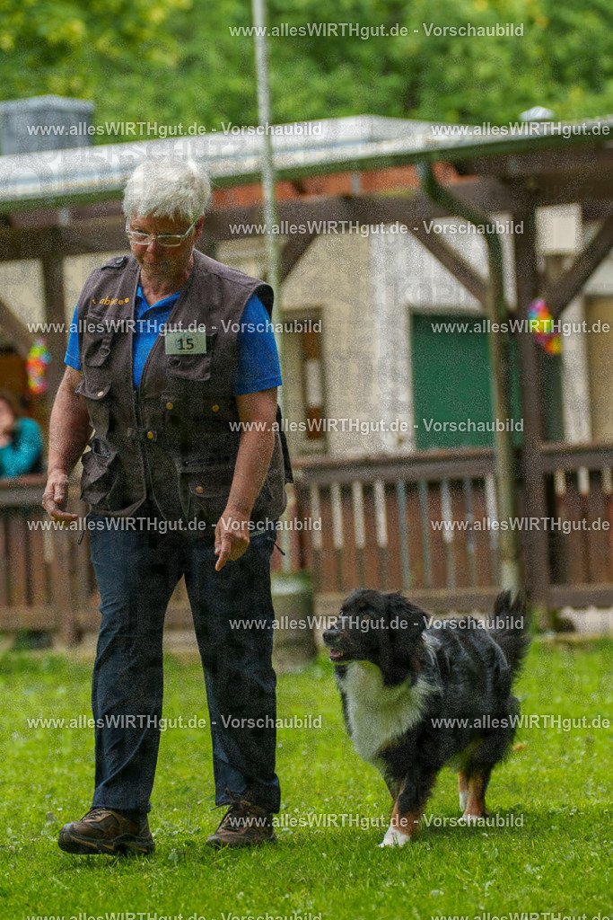 @allesWIRTHgut_Tierfotografie - www.allesWIRTHgut.de - 091519-7R506815 | Professionelle Tierfotografie in Mönchengladbach von Daniel Wirth (allesWIRTHgut). Liebevolle & natürliche Bilder von Hunden & Katzen für unvergessliche Erinnerungen.