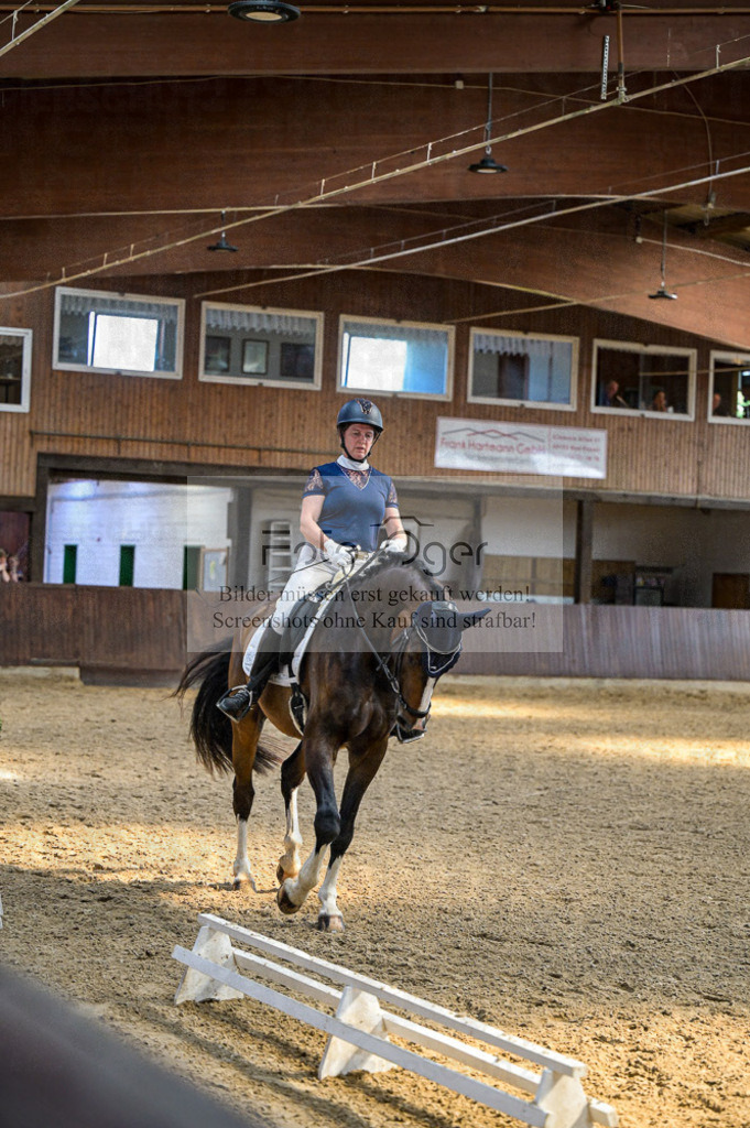 Reitturnier Voxtrup | Entdecke hochwertige Reitturnierfotos von Foto Oger. Professionell, emotional und authentisch – jetzt Lieblingsmomente im Shop bestellen.Deutschlandweite Turnierfotografie. - Realisiert mit Pictrs.com