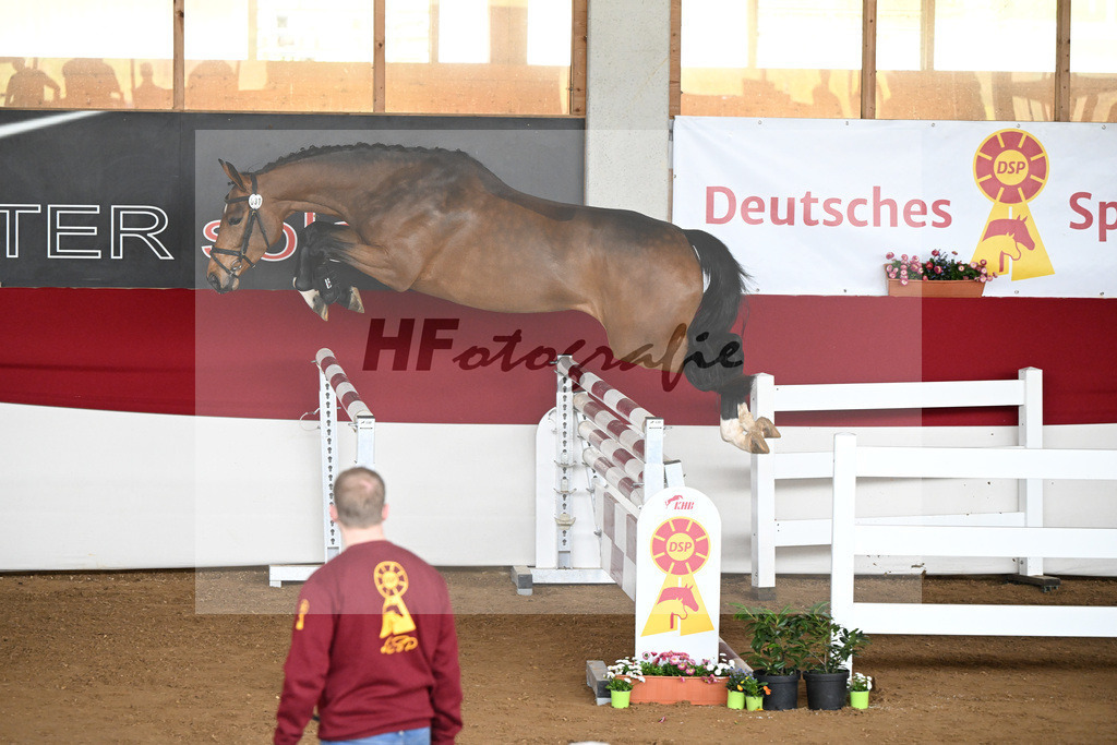 Kat-Nr. 31 Camilla v. Cornet Obolensky_Isaak_9240757 | hf-fotografie - Realizzato con Pictrs.com