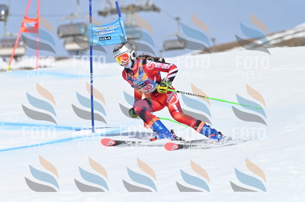 BGV_0620 | holidayphoto