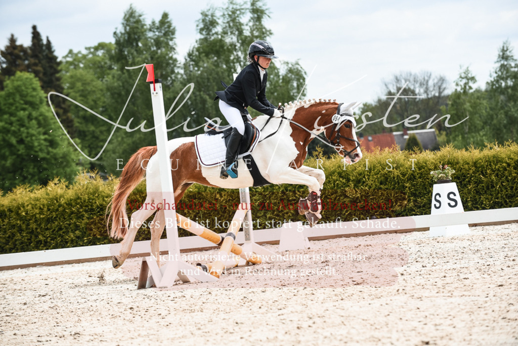 20230518_JK-Röhrsdorf-10-671 | Pferde- und Turnierfotografie in Westsachsen. Pferdeportraits, Auftragszeichnungen und intuitive Kunst.