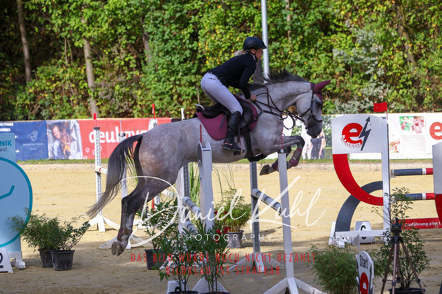 DKP42370 | Turniersportfotografie; Pferdefotografie; Dressurfotografie