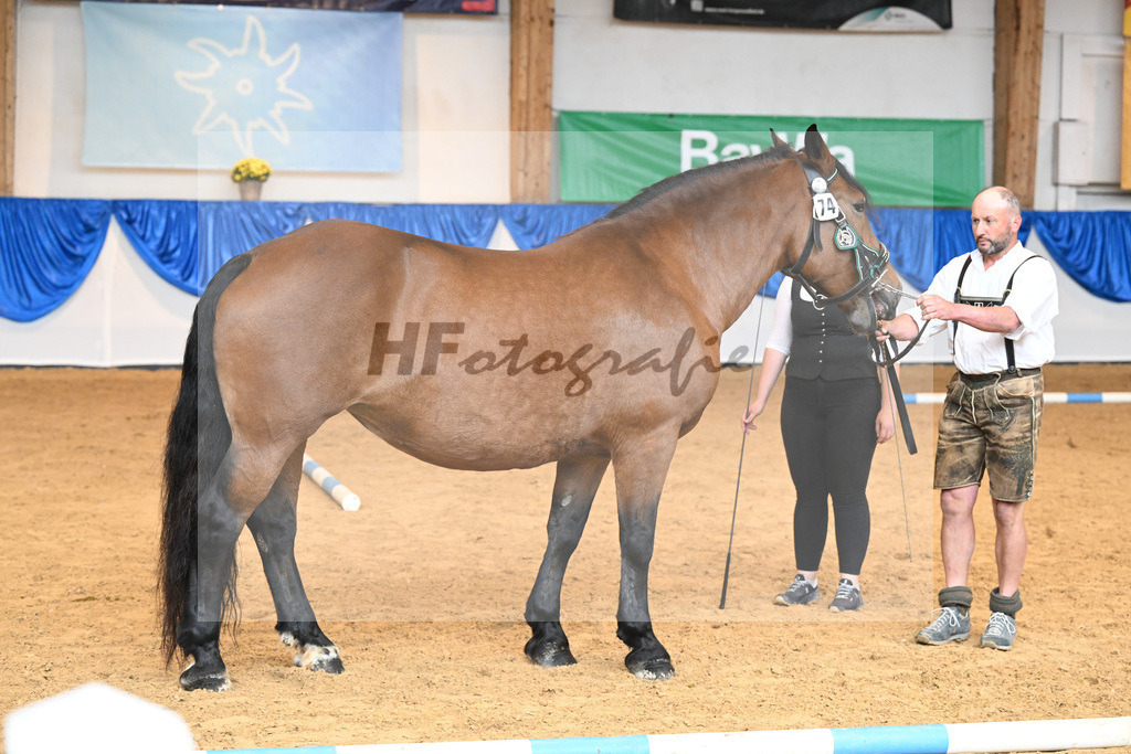 Kat-Nr. 74 Baronin_Kiening_53220334 | hf-fotografie - Realisiert mit Pictrs.com