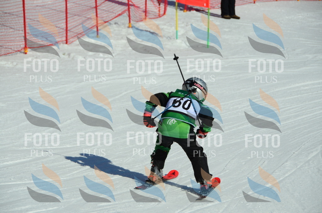 C5361 | holidayphoto