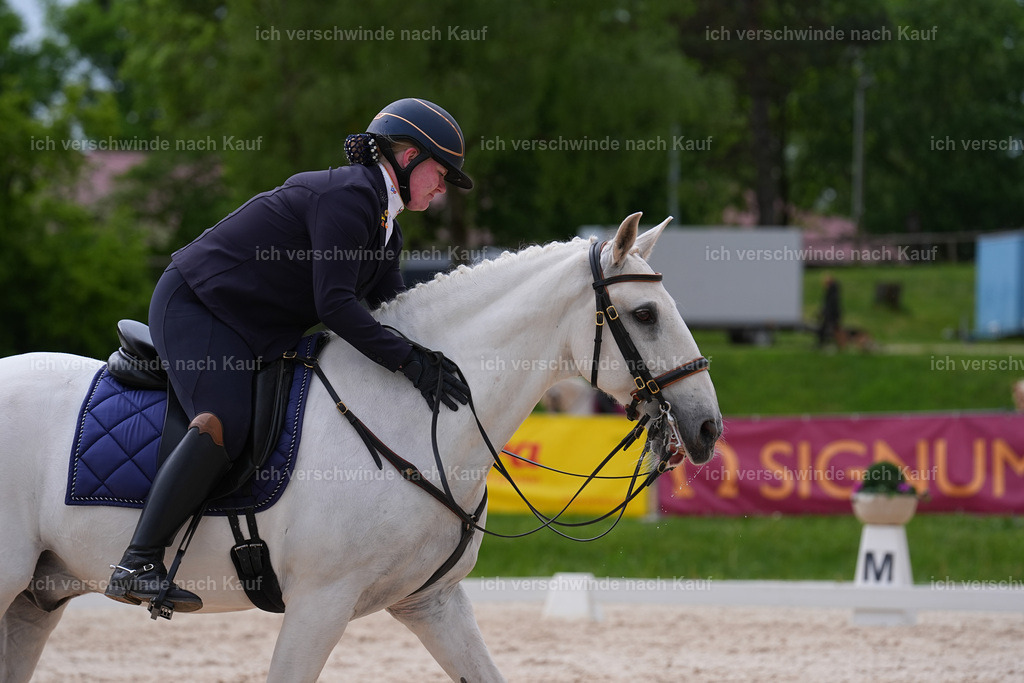 PI26_DR_251_StoibphotographySIN07226.jpg | working equitationturnier fotograf videograf stoibphotography marixx film working equitation deutschland reitsport turnierfotografie eventfotografie equestrian events
