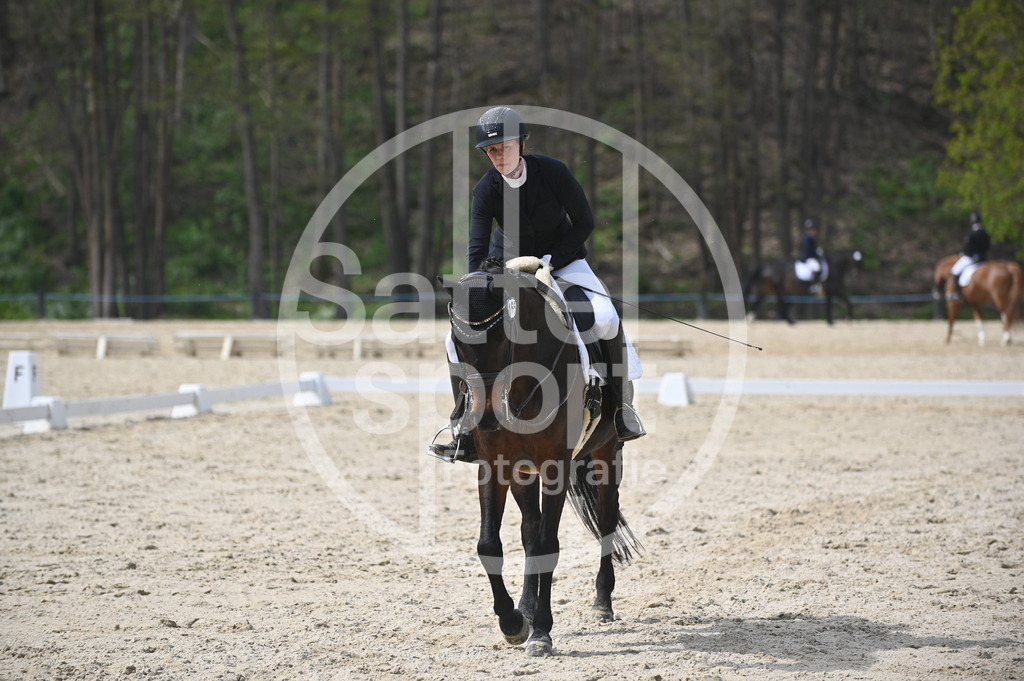 DSC_4326 | sattelsport - Realisiert mit Pictrs.com