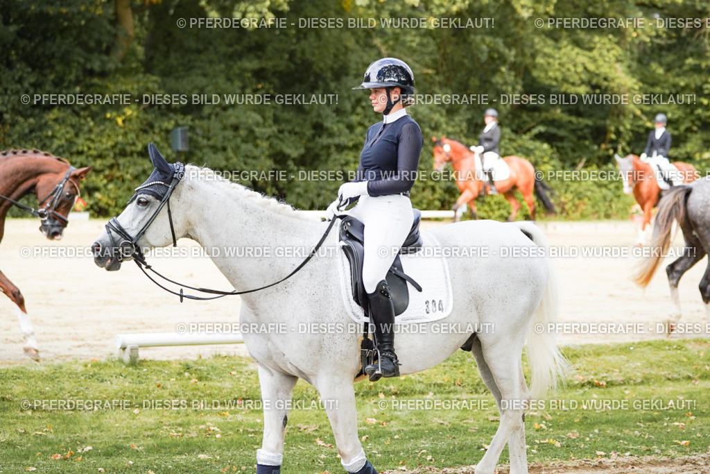 DSC01445 | Pferdegrafie