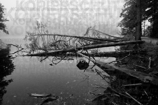 DSCF3251 | "Entdecken Sie atemberaubende Bilder von Stuttgart im Fotowerk Stuttgart! Kaufen Sie hochwertige Fotos auf Leinwand oder laden Sie digitale Downloads für Ihre Wohnung oder Büros herunter.  - Realisiert mit Pictrs.com