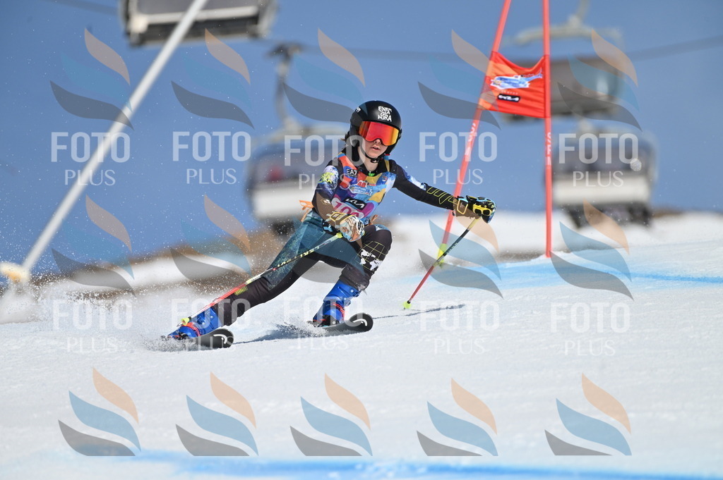 BGV_9448 | holidayphoto