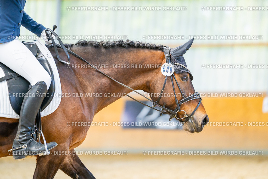 DSC08302 | Pferdegrafie