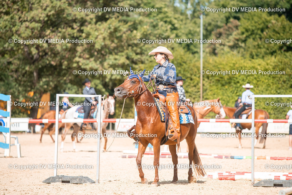 EWP_6835 | dv-media-shop - Realisiert mit Pictrs.com