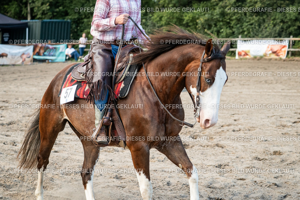 DSC05921 | Pferdegrafie