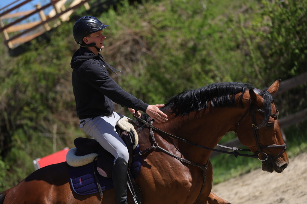 0P6A8177 | Willkommen bei Brunnmayr - Design & Fotografie – Ihrem Spezialisten für Reitturniere und Pferdeveranstaltungen in Oberösterreich, Salzburg und Bayern! Seit über 17 Jahren sind wir leidenschaftlich dabei.