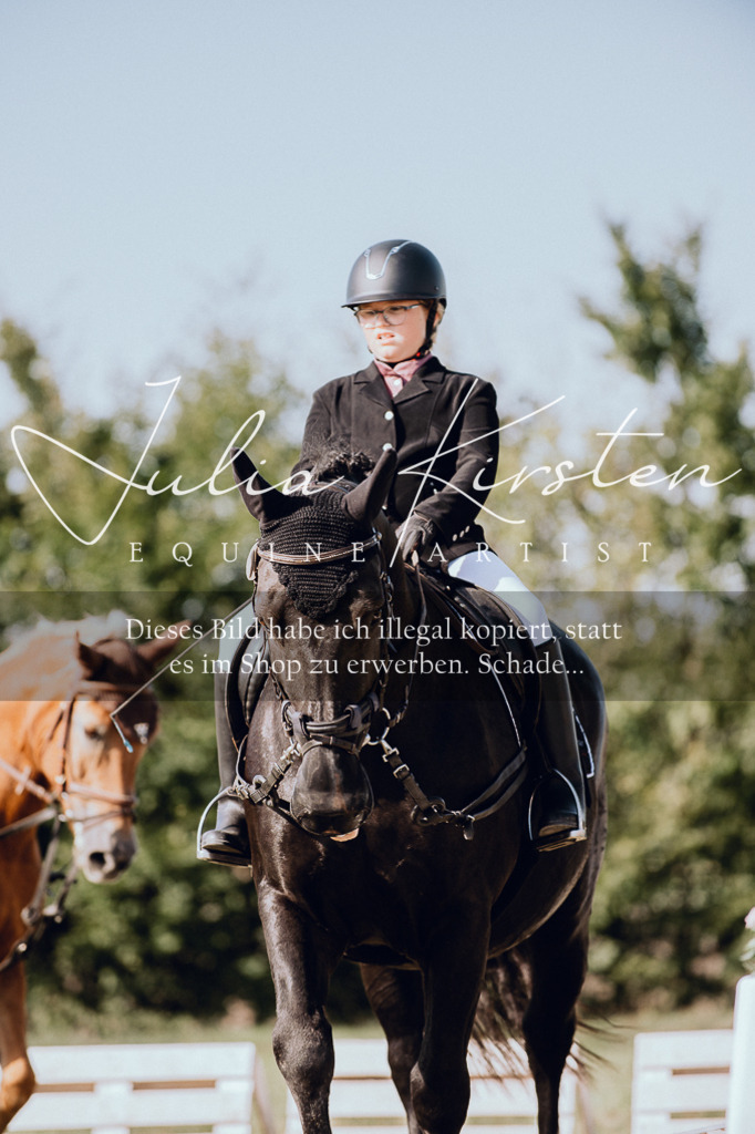 DSC_6966 | Pferde- und Turnierfotografie in Westsachsen. Pferdeportraits, Auftragszeichnungen und intuitive Kunst.