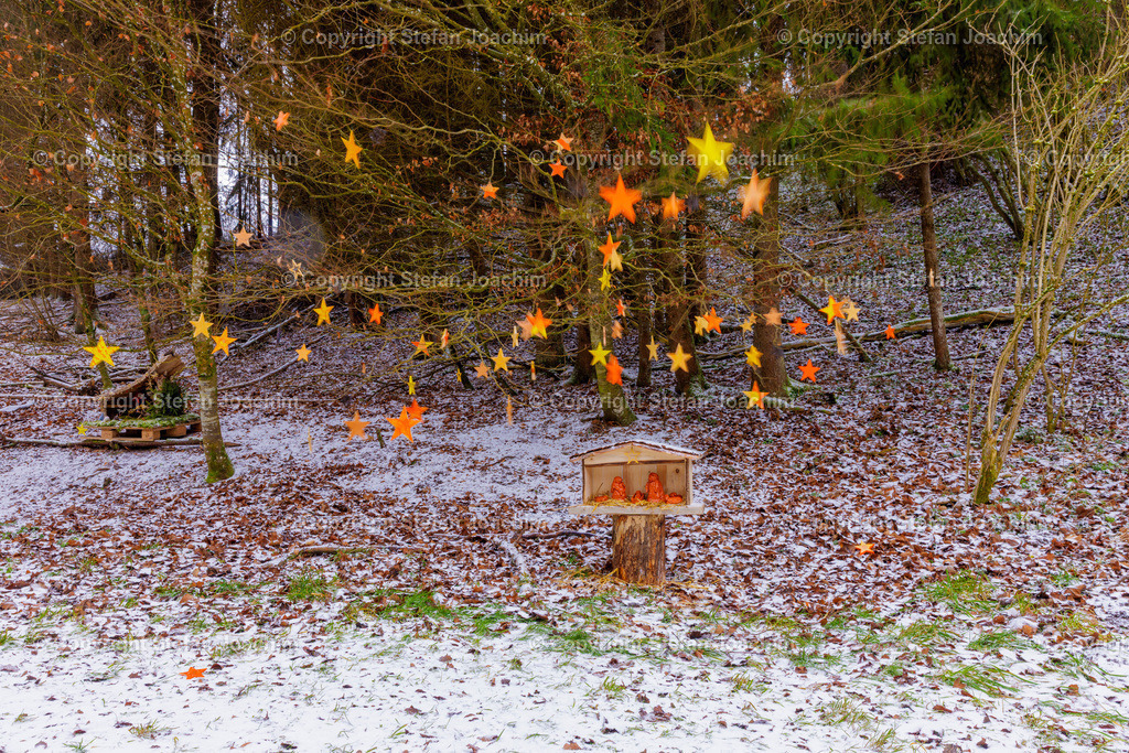 Titel | Fotografien von Stefan Joachim aus vielen Bereichen. Landschaft, Streetart, Natur, Allgäu, Berge. - Realisiert mit Pictrs.com