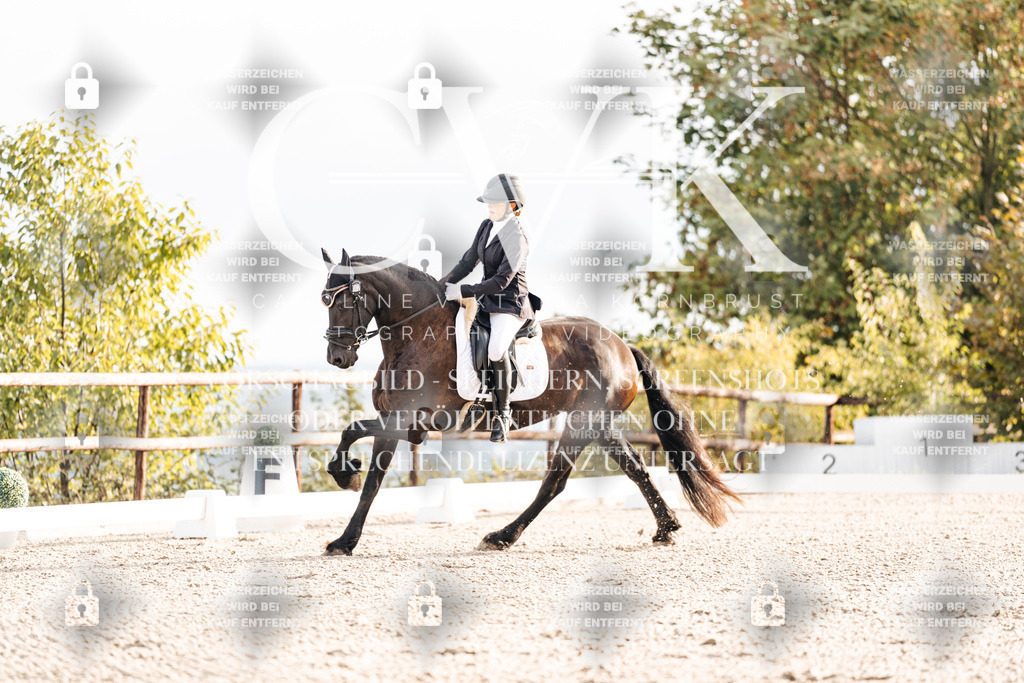 CK900343 | Turnierfotografie Pferdefotografie Trier Rheinland-Pfalz Pferdesport Reitsport Tierfotografie Sportfotografie Pferdevideo Pferdevideografie Equestrianvideography equestrianphotography  - Realisiert mit Pictrs.com