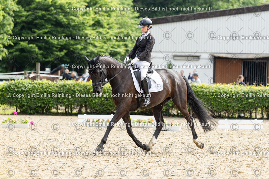 CL5A5643 | Emilia Reinking Fotografie - Realisiert mit Pictrs.com