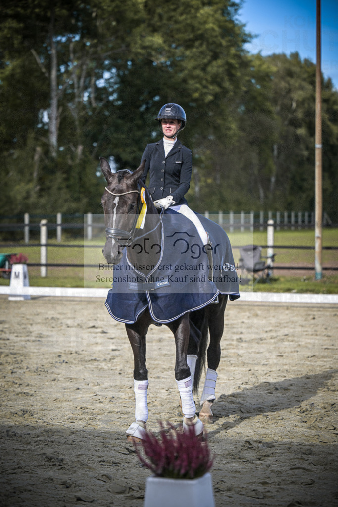 DOS_0015 | Entdecke hochwertige Reitturnierfotos von Foto Oger. Professionell, emotional und authentisch – jetzt Lieblingsmomente im Shop bestellen.Deutschlandweite Turnierfotografie. - Realisiert mit Pictrs.com