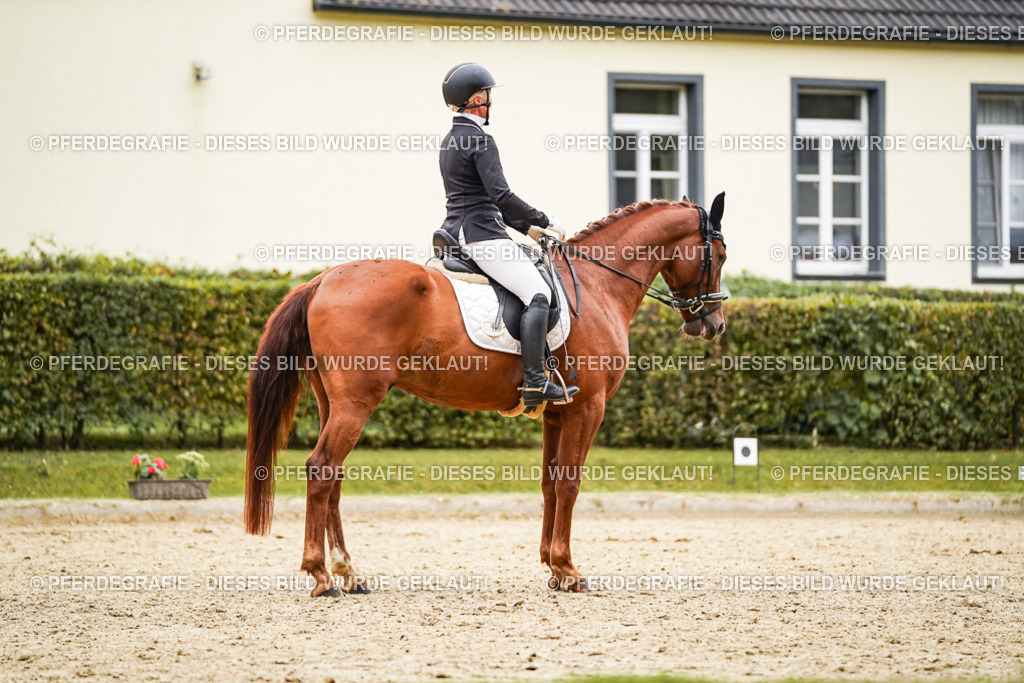 DSC08313 | Pferdegrafie