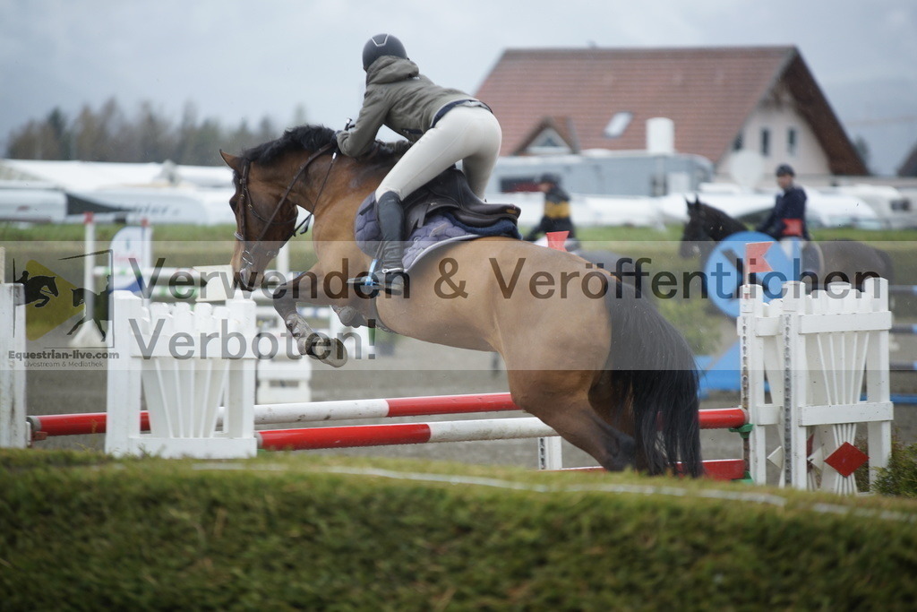 _DSC6174 | equestrian-live-com