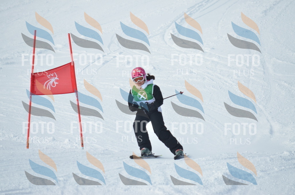 D8656 | holidayphoto