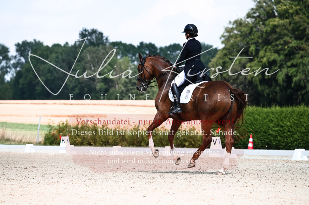 DSC_2882 | Pferde- und Turnierfotografie in Westsachsen. Pferdeportraits, Auftragszeichnungen und intuitive Kunst.