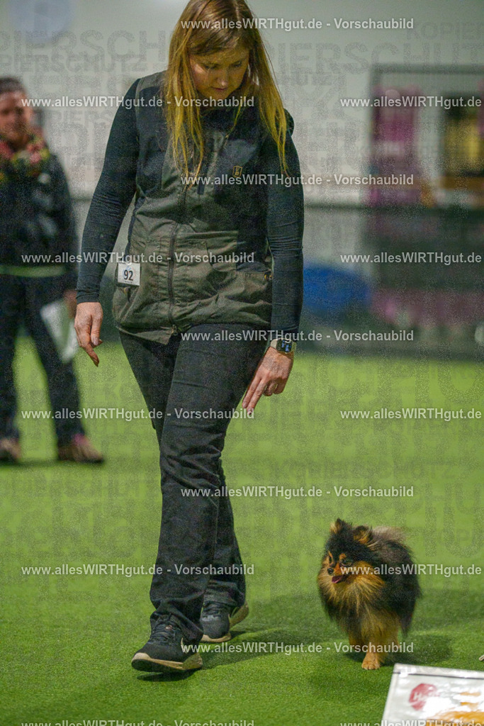 7R508884 | Professionelle Tierfotografie in Mönchengladbach von Daniel Wirth (allesWIRTHgut). Liebevolle & natürliche Bilder von Hunden & Katzen für unvergessliche Erinnerungen.